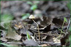 0_14748b_9555d2d1_orig.jpg