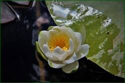 0_149348_3f724c74_orig.jpg