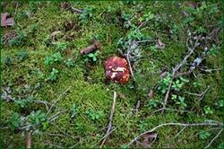 0_14b480_6f51d027_orig.jpg