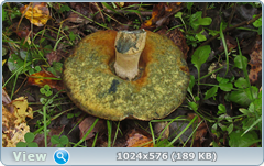0_12d9bd_b1f6bd84_orig.png