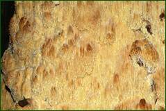 0_100b37_208a95a7_orig.jpg