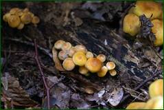 0_1018d4_53ace0c6_orig.jpg