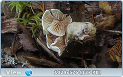0_12dced_90ec73eb_orig.png