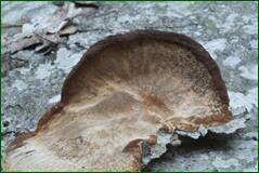0_101916_c444d780_orig.jpg