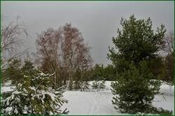 0_155c96_4bccb5c_orig.jpg