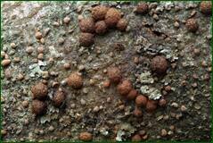0_1018ec_1b34a063_orig.jpg