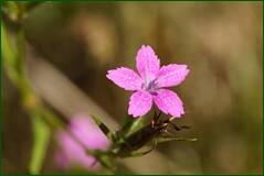0_ff86a_92868f42_orig.jpg
