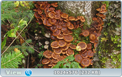 0_12dc42_304bd09f_orig.png