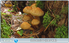 0_12dc4a_1b293778_orig.png