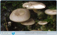 0_12dc5a_1aa7b859_orig.png