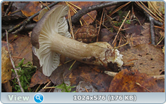 0_12dc9c_139df1da_orig.png