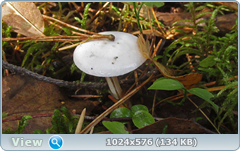 0_12dcb7_3000af27_orig.png