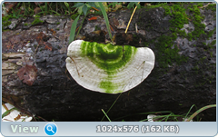 0_12dd1f_9415e8e2_orig.png