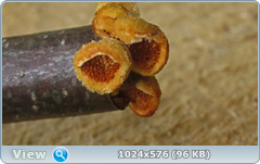 0_12dd6d_6b6dfcea_orig.png