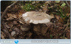 0_12df66_7743d691_orig.png