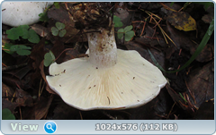 0_12df71_473d2917_orig.png