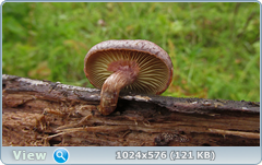 0_12df79_b48dd992_orig.png