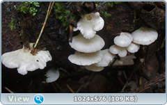 0_12df91_c46f1aa6_orig.png