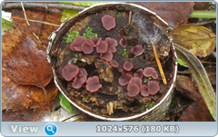0_12dfba_854b4810_orig.png