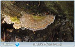 0_12e015_8476ca05_orig.png