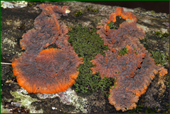 0_104f2b_990387d3_orig.png