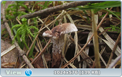 0_12cbb2_8a2b06f1_orig.png