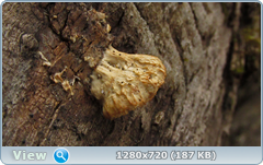 0_10201a_8a2b56d2_orig.png