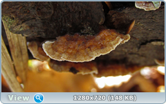 0_1027c3_cab951b7_orig.png
