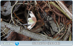 0_103899_11f7a170_orig.png