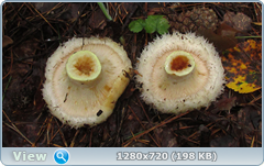 0_110599_3e570815_orig.png