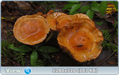 0_1105c1_a7951042_orig.png