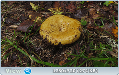 0_11082f_8feb1390_orig.png