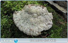 0_fc163_459f5537_orig.png