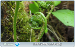0_fd872_21b2e192_orig.png