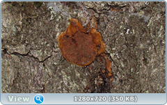 0_fa66b_16ef6377_orig.png