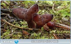 0_fc07a_f724f5ad_orig.png