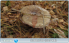 0_f5008_f97d3e84_orig.png
