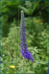 0_d08e4_11e04710_orig.jpg