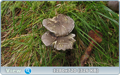 0_112cdf_a21f35d1_orig.png