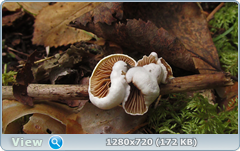 0_112cfc_db2cf2e3_orig.png