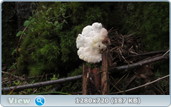 0_112d09_34cf82fb_orig.png