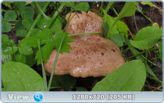 0_fb9de_1dcf0394_orig.png