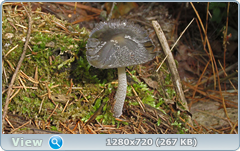 0_e6bc0_6771e55_orig.png