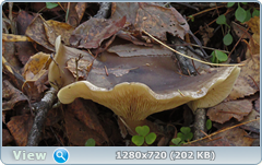 0_f3864_64f0ddee_orig.png