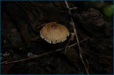 0_ce07b_6f3fe985_orig.jpg