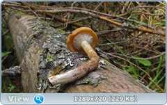 0_e6b83_d867ff04_orig.png