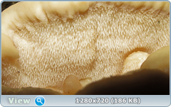 0_e94e8_eb05b167_orig.png