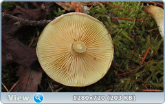 0_f4ff1_2995cc5c_orig.png