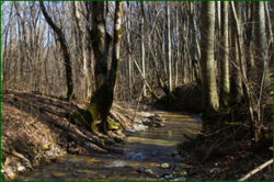 0_e0250_afee9e1c_orig.png