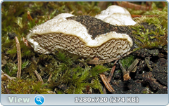 0_102052_849143df_orig.png